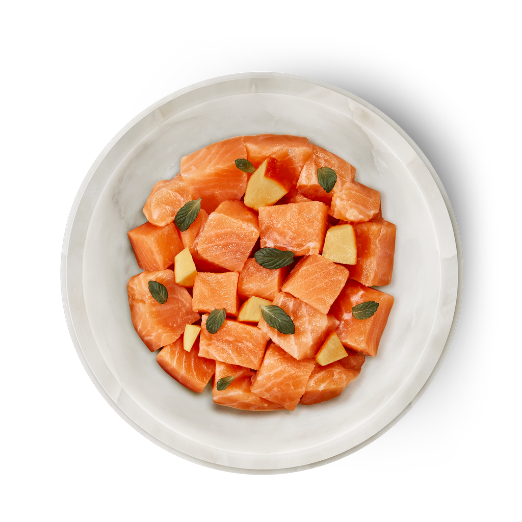 Salmon