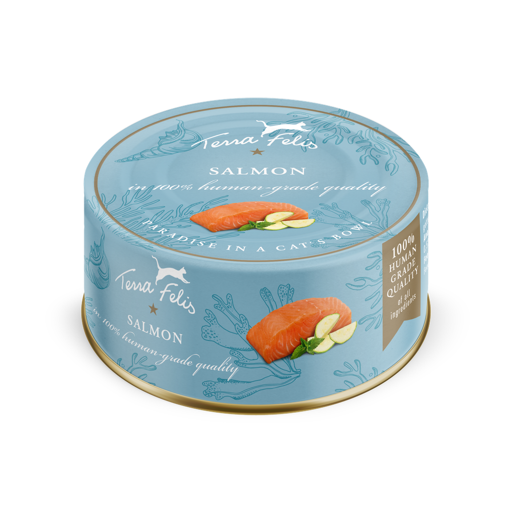 Salmon