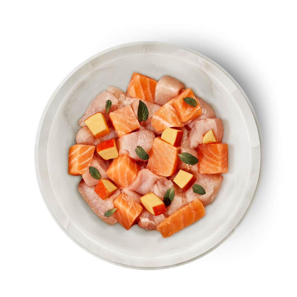 Salmon & Chicken