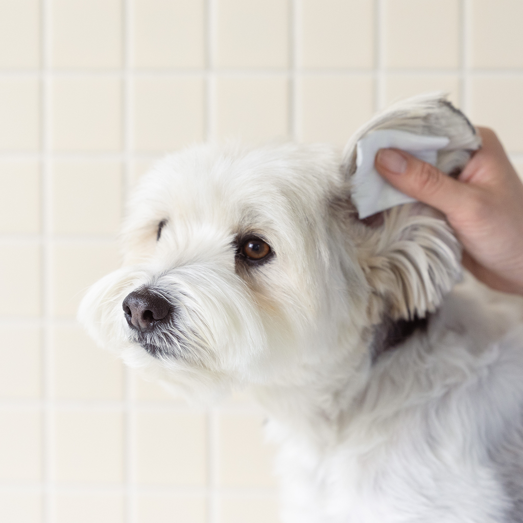 INOOM PET EAR CLEANER
