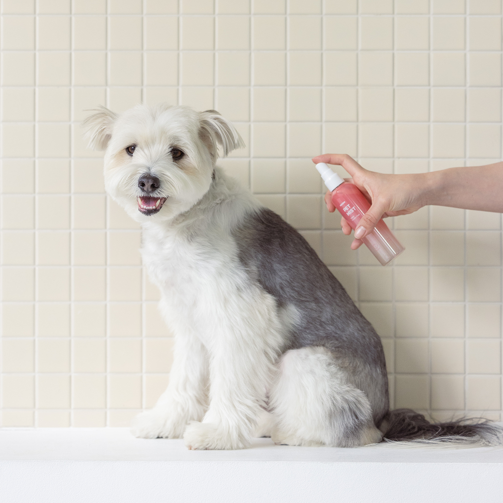 INOOM PET MIST