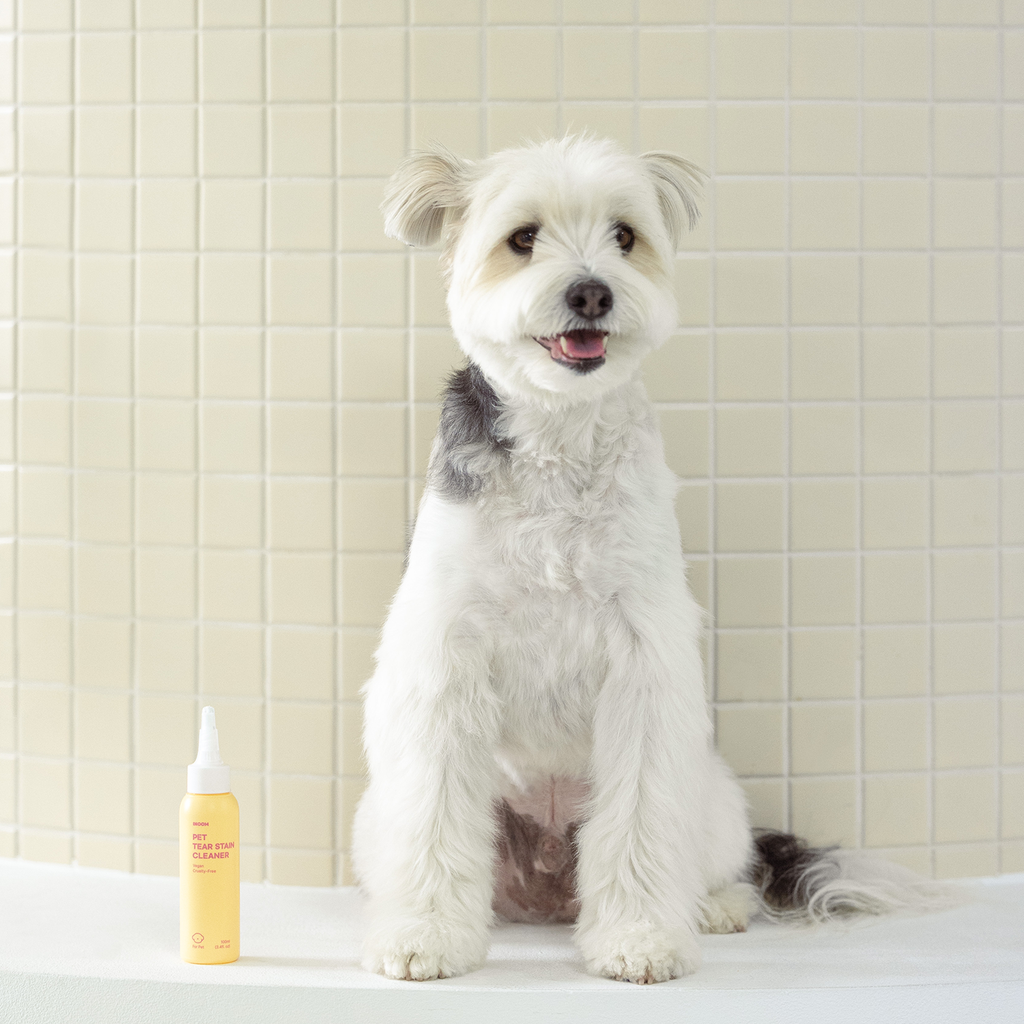 INOOM PET TEAR STAIN CLEANER