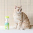 INOOM OUR EARTH CAT DRY SHAMPOO