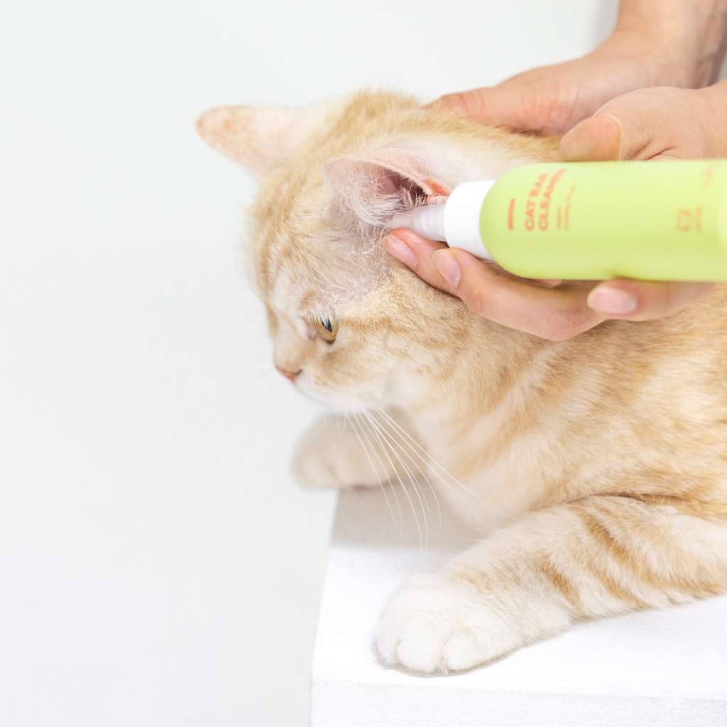 INOOM CAT EAR CLEANER