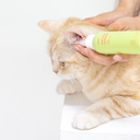 INOOM CAT EAR CLEANER