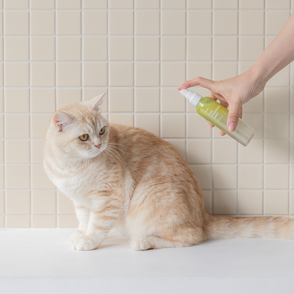 INOOM CAT GROOMING MIST