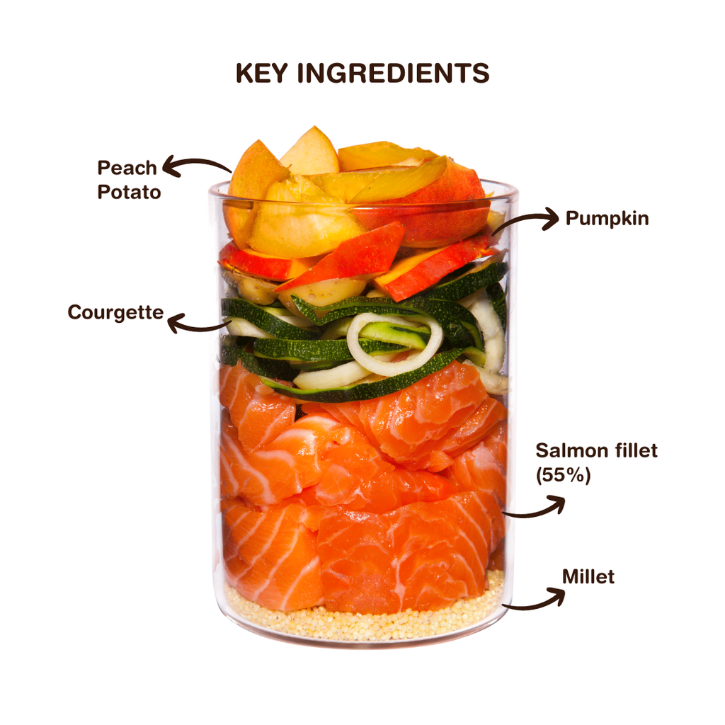 TERRA CANIS CLASSIC - Salmon with millet, peach and herbs
