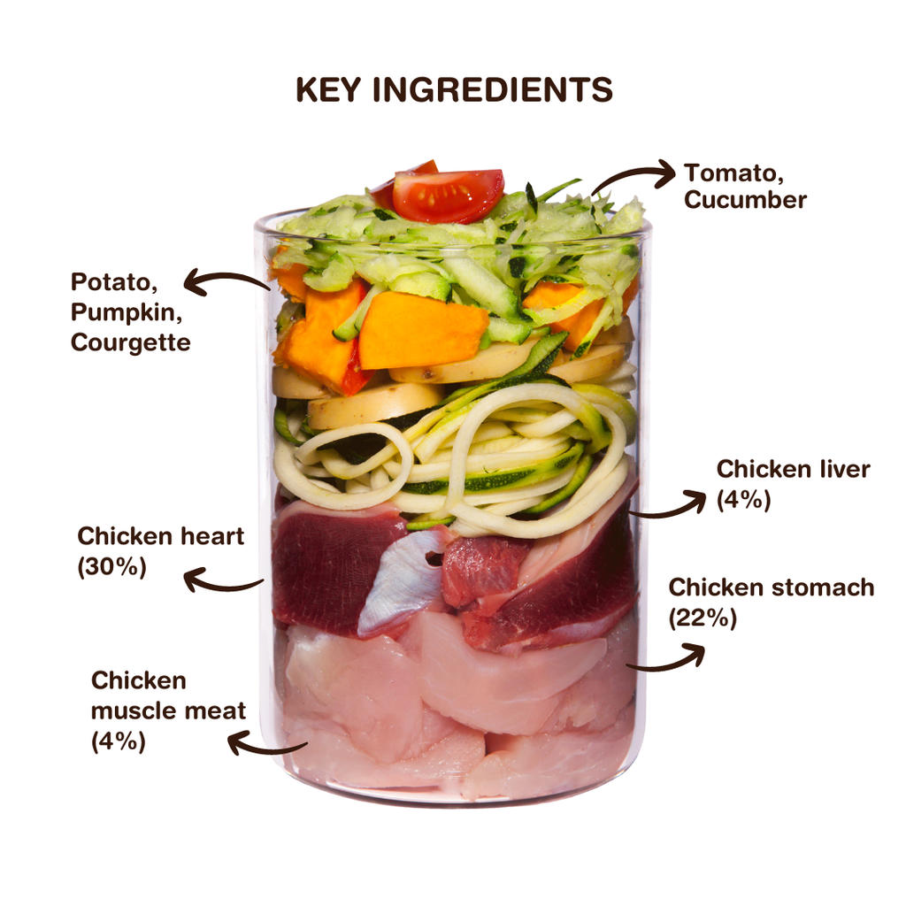 TERRA CANIS SENIOR - Chicken with cucumber, pumpkin and medicinal herbs