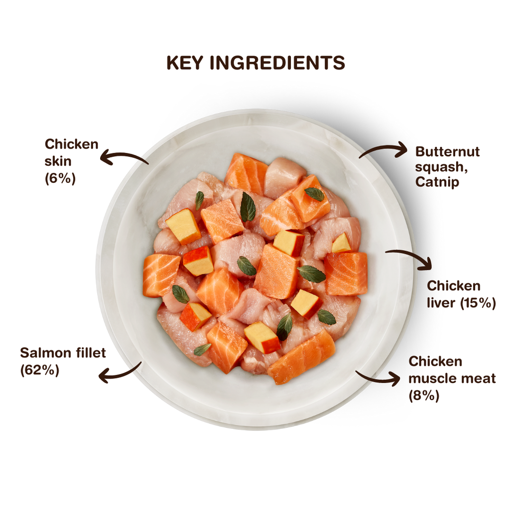 TERRA FELIS MULTI - Salmon & Chicken
