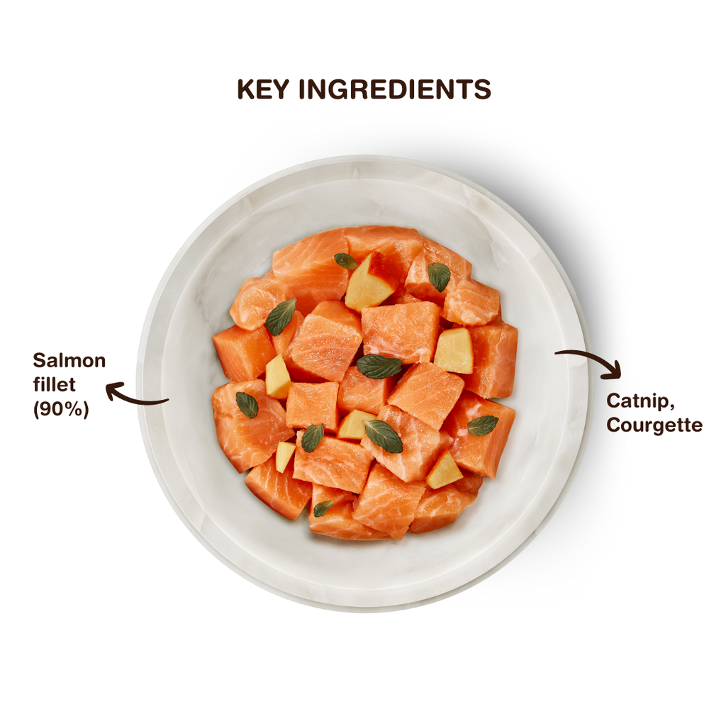TERRA FELIS MONO - Salmon