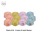 TERRA FELIS MONO - Gourmet Pack (Chicken, Salmon, Rabbit, and Turkey) - 80g